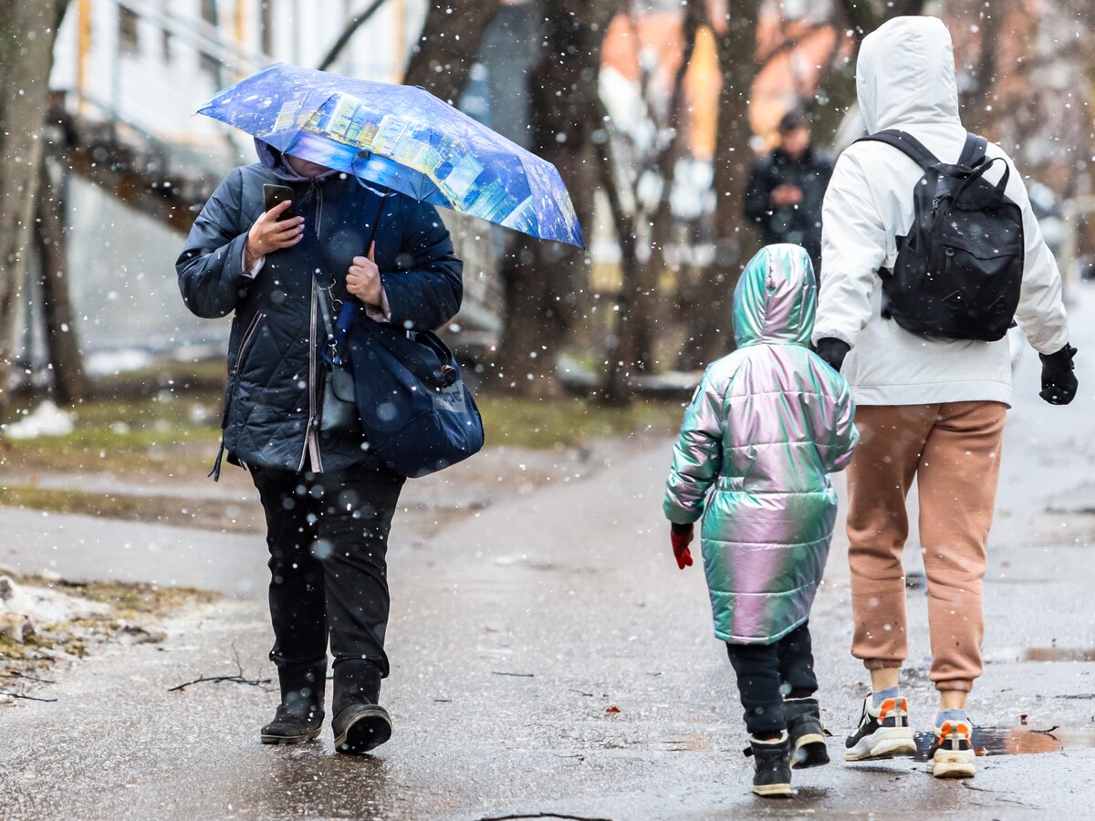 Четвертый месяц зимы: когда в Москву придет настоящая весна – Москва 24,  01.03.2024