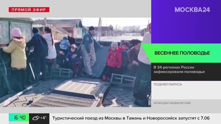 Новости регионов: таможенники изъяли двухметрового крокодила в Орске