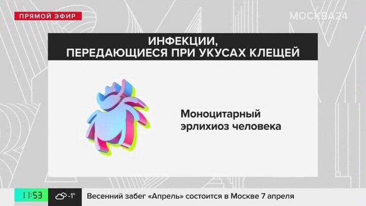 Сколько проголосовало в москве 2024