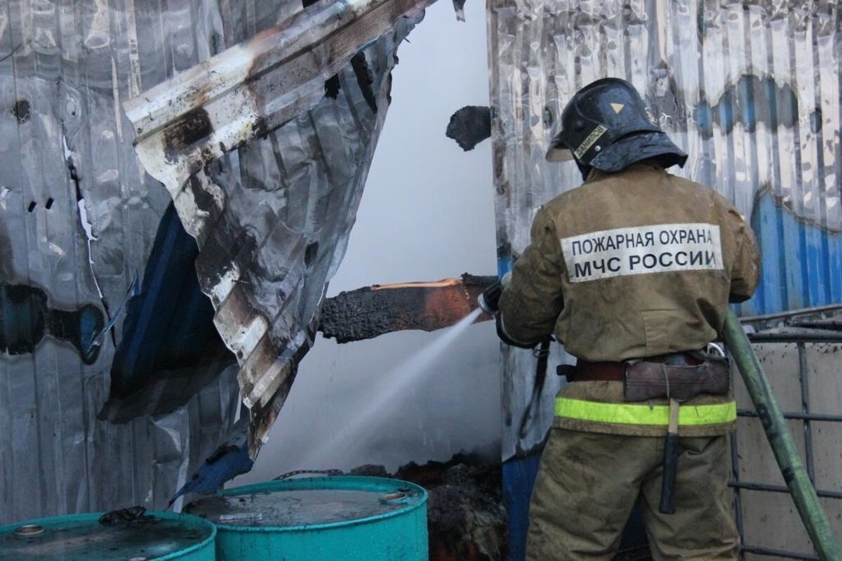 Пожар произошел на пляже в парке имени Толстого в Химках – Москва 24,  03.04.2024