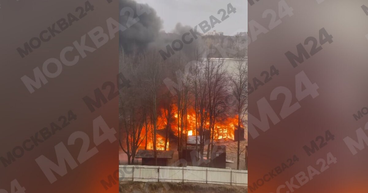 Пожар произошел на пляже в парке имени Толстого в Химках