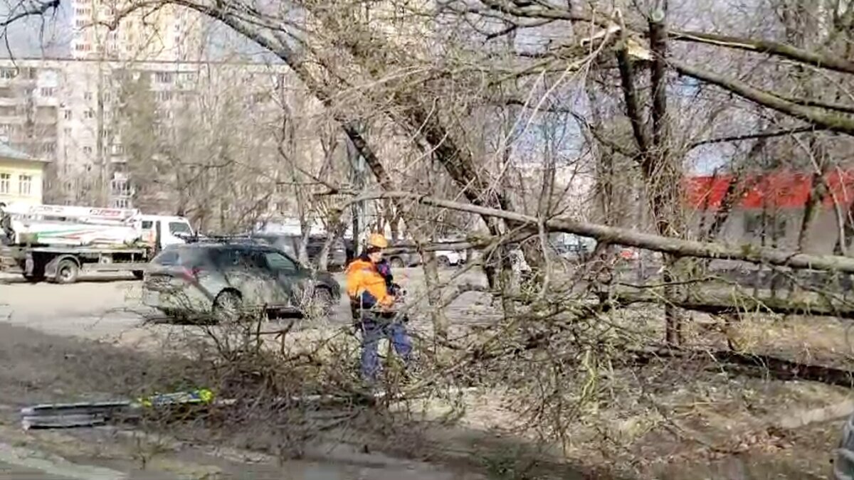 Городские службы Москвы ликвидируют последствия сильного ветра – Москва 24,  03.04.2024