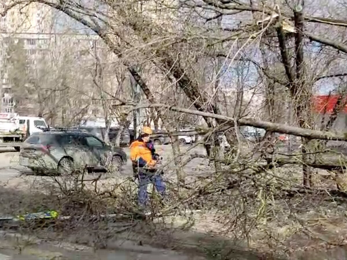 Городские службы Москвы ликвидируют последствия сильного ветра – Москва 24,  03.04.2024