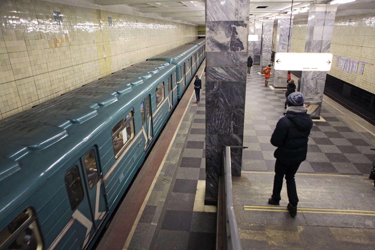 Собака упала на пути на станции метро 