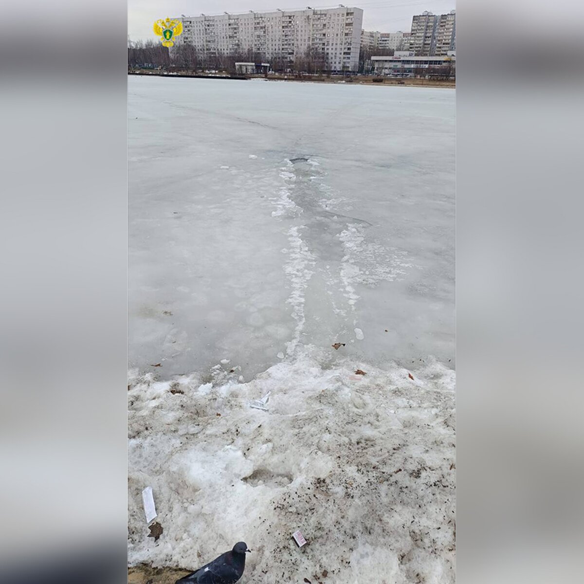 Провалившаяся под лед на Гольяновском пруду женщина скончалась – Москва 24,  29.03.2024