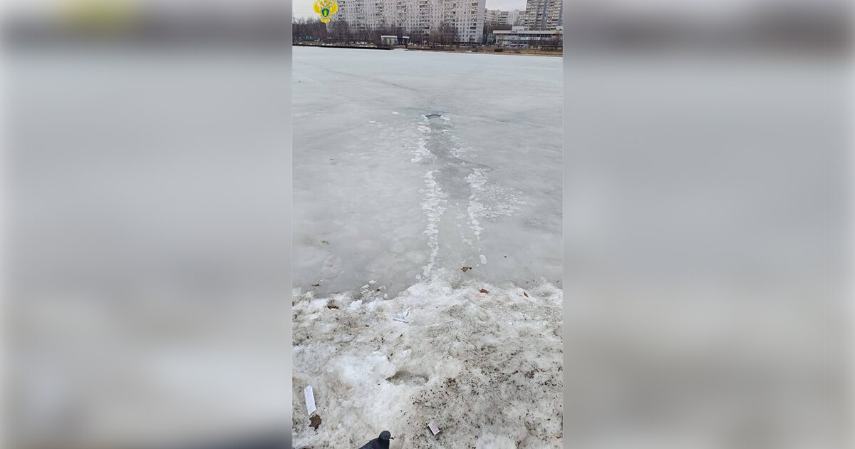 Провалившаяся под лед на Гольяновском пруду женщина скончалась