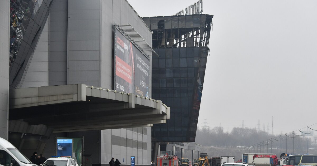 Следственные действия по делу о теракте в «Крокусе» провели в квартире в Подмосковье