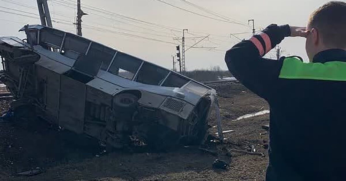 Семь человек погибли в ДТП с автобусом и скорым поездом в Ярославской области