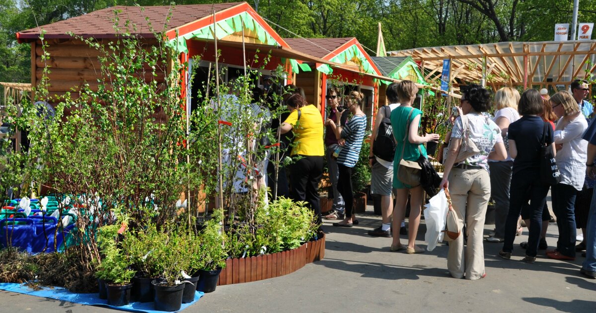 Ярмарка в парке. Московские ярмарки Сокольники фото.