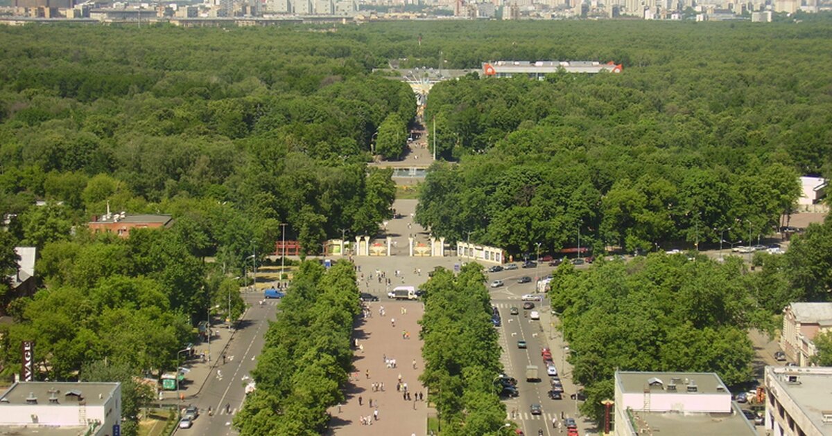 Парк сокольники в москве фото