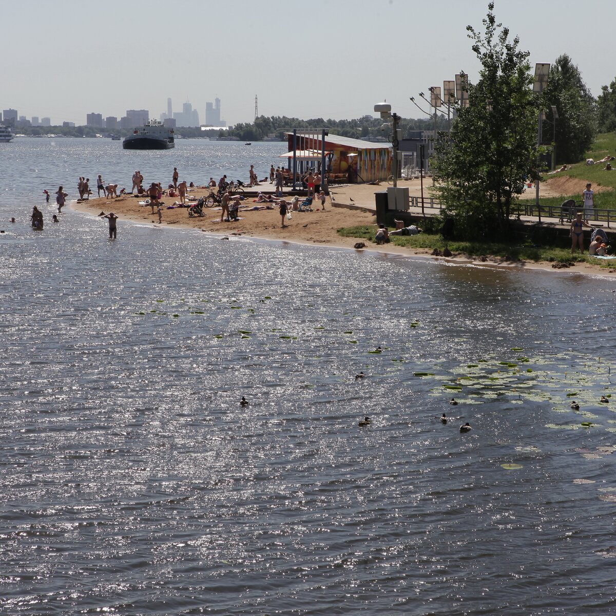 Летом москвичи смогут искупаться в 11 зонах отдыха у водоемов – Москва 24,  29.05.2018