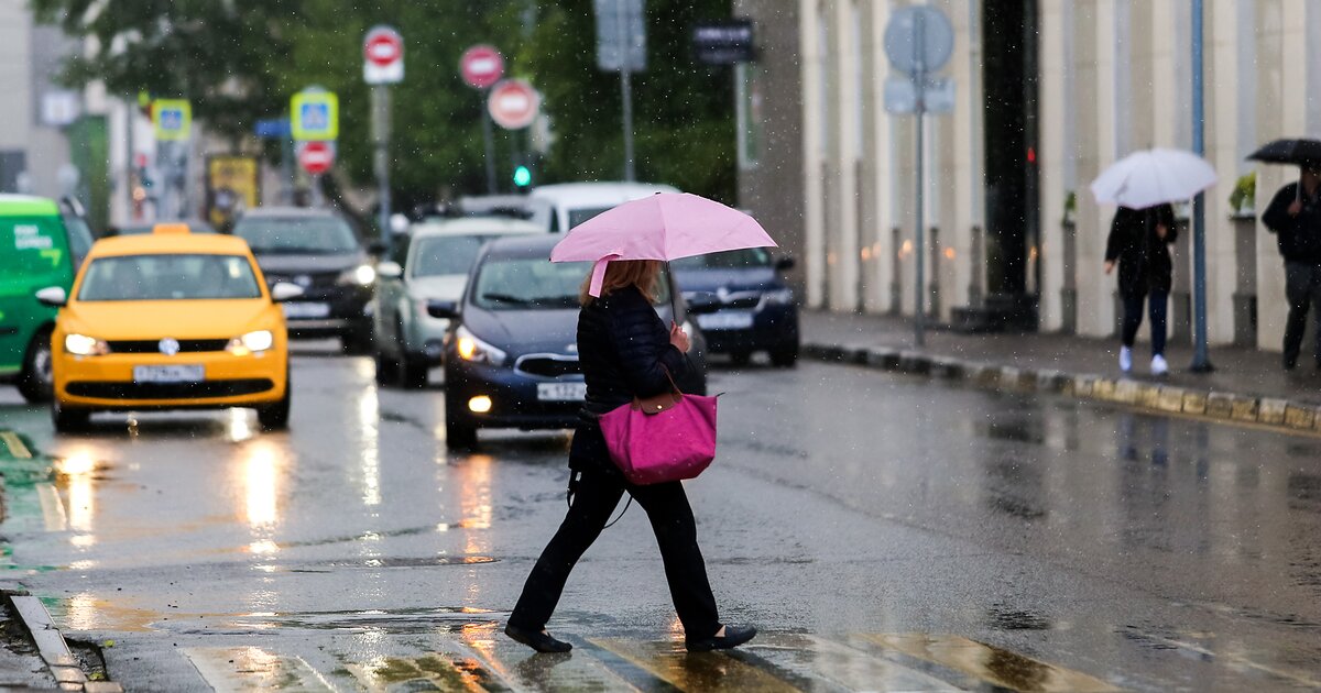 Погода прошли. Прохладное лето в Москве. Дожди вероятны в столице до конца недели. Погода в Москве летом.