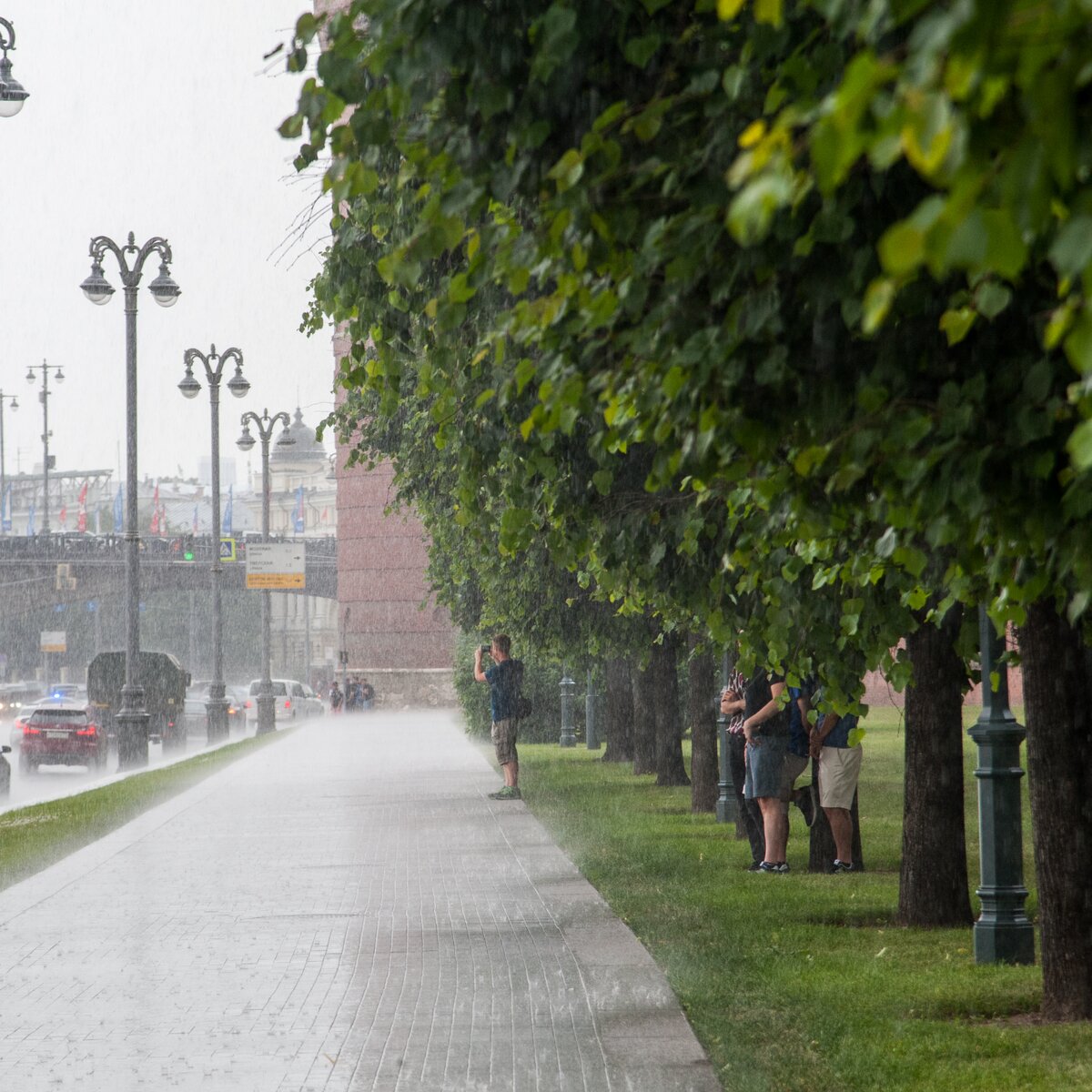 В пятницу москвичей ждет жаркая и сырая погода – Москва 24, 20.07.2018