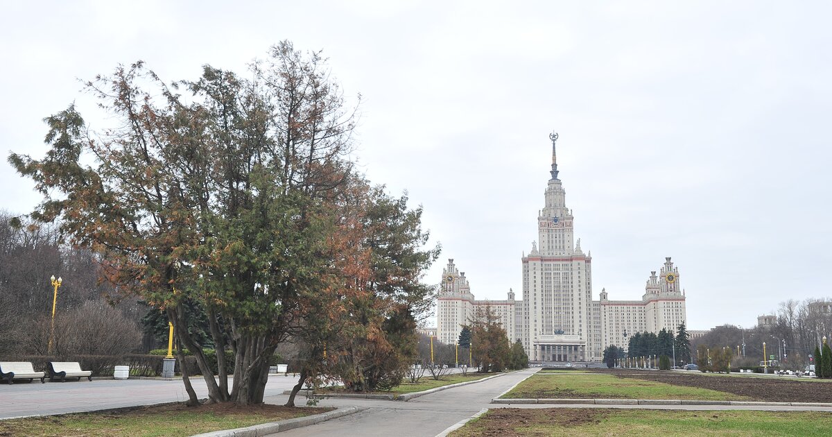 Создание мгу. МГУ правительства Москвы. МГУ Москва.