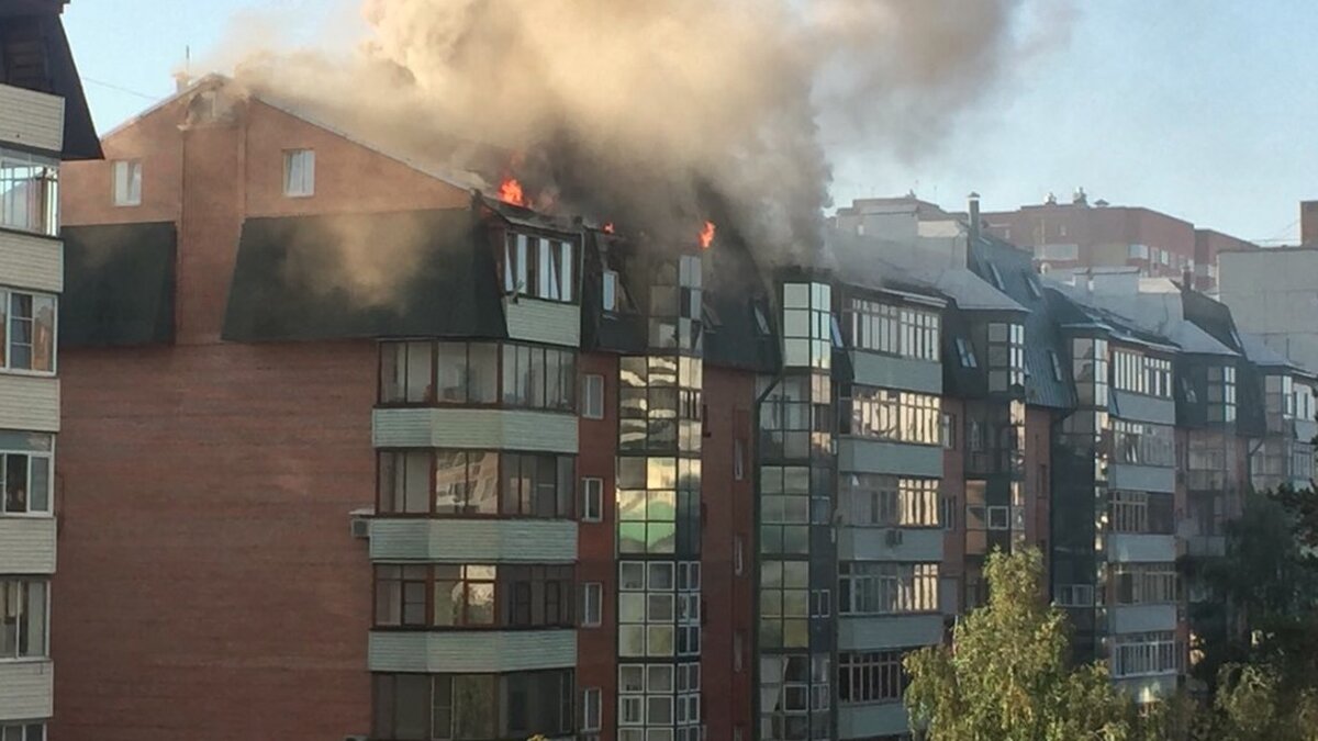 Пожар в Королеве продолжается уже восемь часов – Москва 24, 26.08.2018