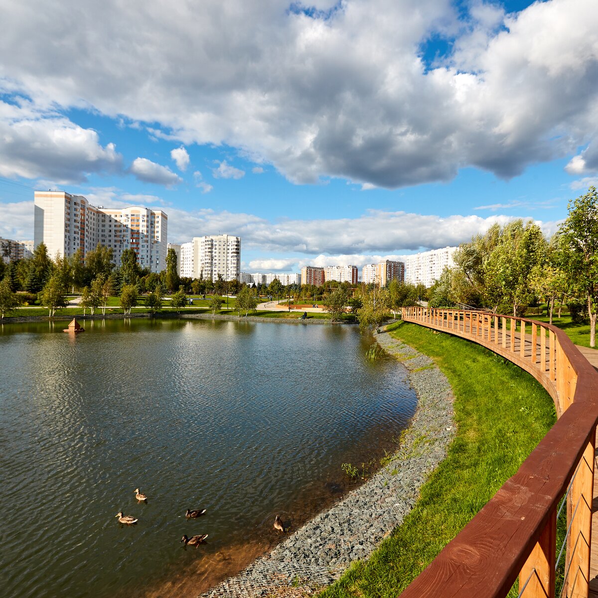 Собянин открыл самый большой городской парк за МКАД – Москва 24, 23.08.2018