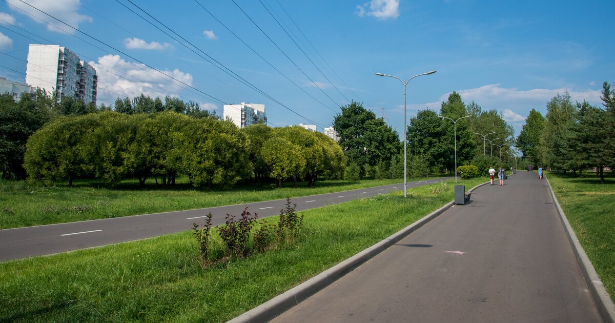 800 летия москвы 14. Парк 850 летия Москвы яблони. Парк 850 летия Москвы веранда. Парк 850 летия Москвы растения и птицы. Парк 850 летия Москвы что растет.