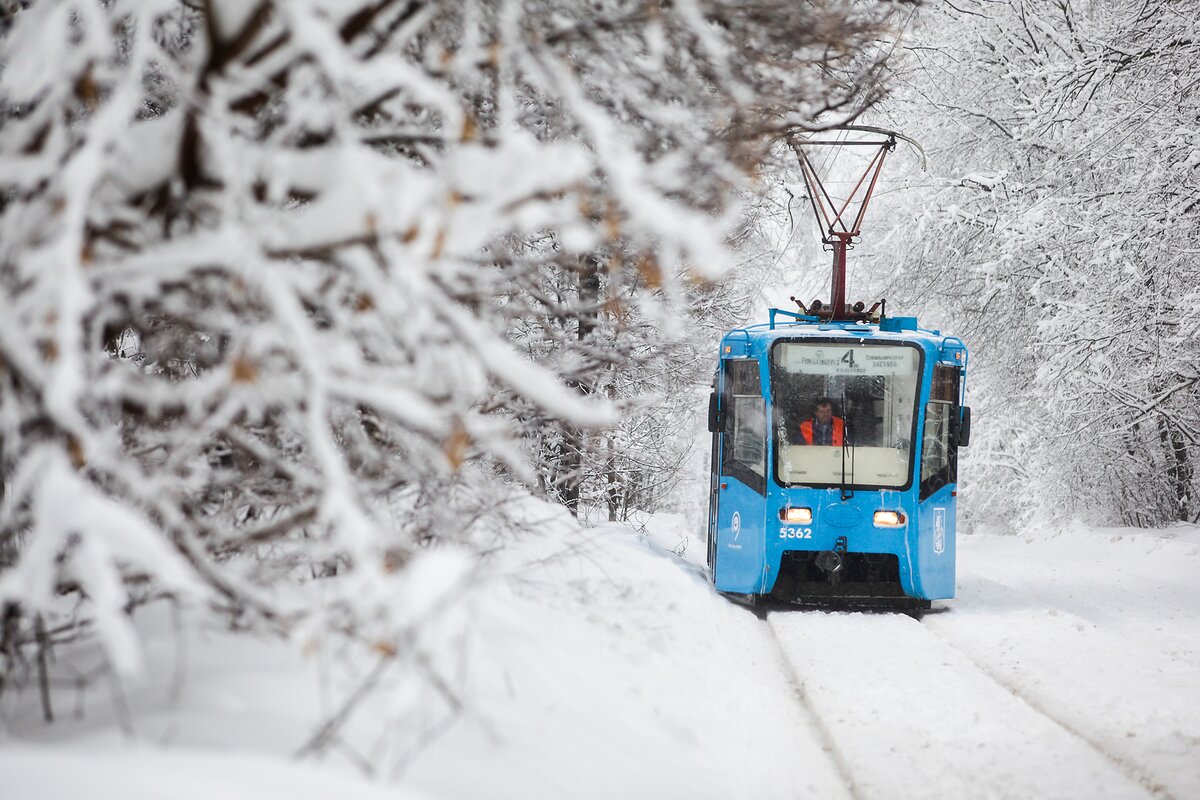 Снег в Москве побил рекорд 140-летней давности – Москва 24, 13.02.2019