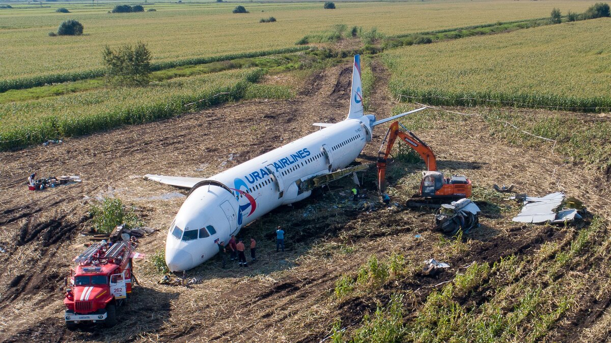 МАК подготовил отчет по посадке самолета в кукурузное поле – Москва 24,  14.09.2019