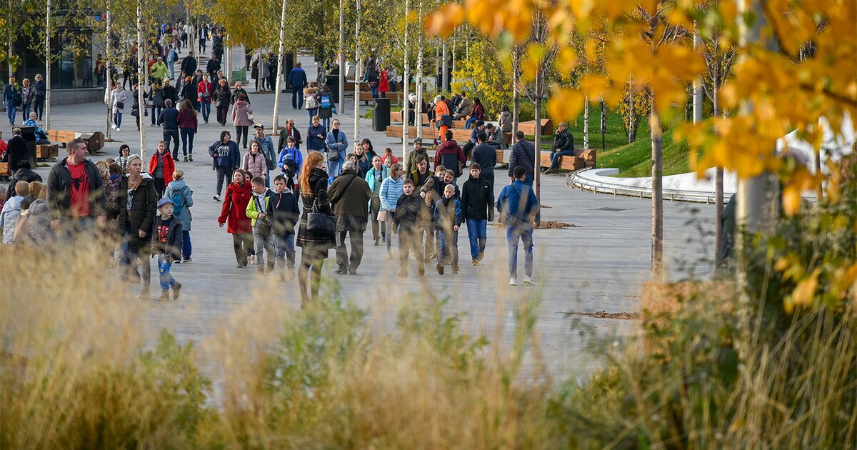 Новости гидрометцентра погода москва. Погода Москва сегодня сейчас.