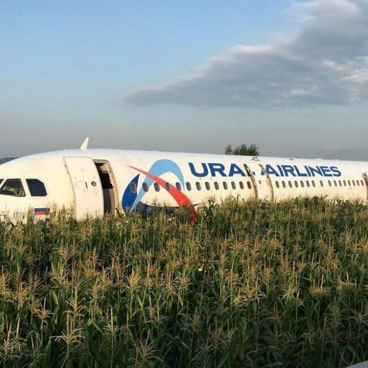 Самолет Airbus А321 начнут убирать с поля с 23 августа – Москва 24,  22.08.2019