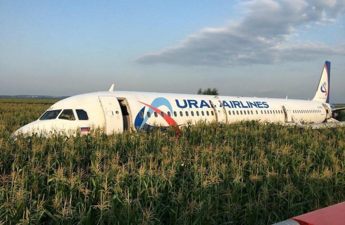 Самолет Airbus А321 начнут убирать с поля с 23 августа – Москва 24,  22.08.2019