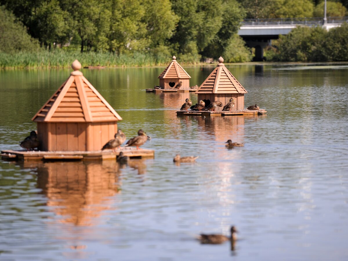 Домики для уток на воде и лебедей.