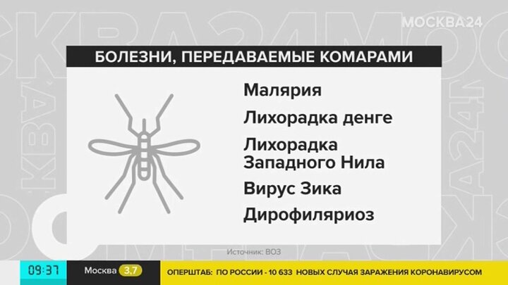 Комары переносчики болезней. Инфекции переносимые комарами. Какие заболевания переносят комары. Какие вирусы переносят комары.