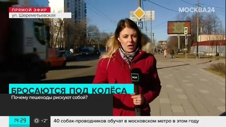 Светлана доброхотова москва 24