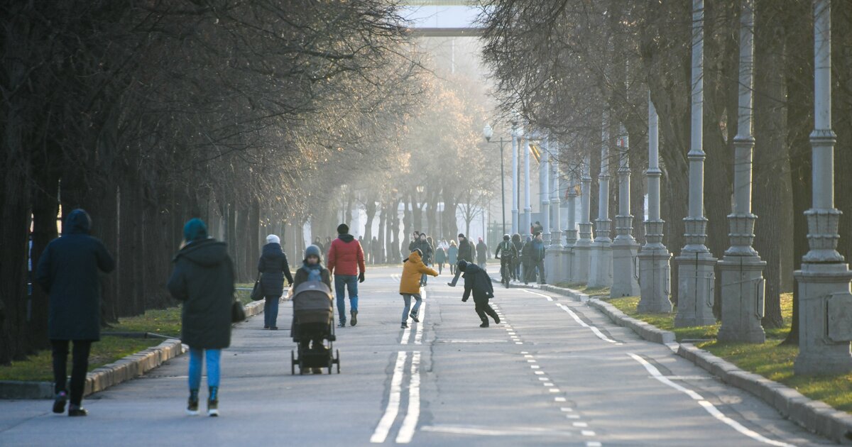 Декабрь 2006. Самый теплый день в декабре. Тёплый декабрь в Москве. Теплый декабрь 2015.