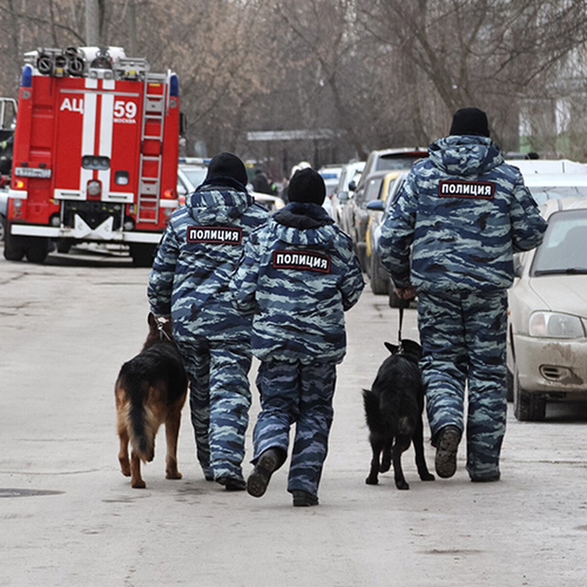 Около 30 школ проверяют в Москве из-за сообщений об угрозе взрыва – Москва  24, 26.12.2019