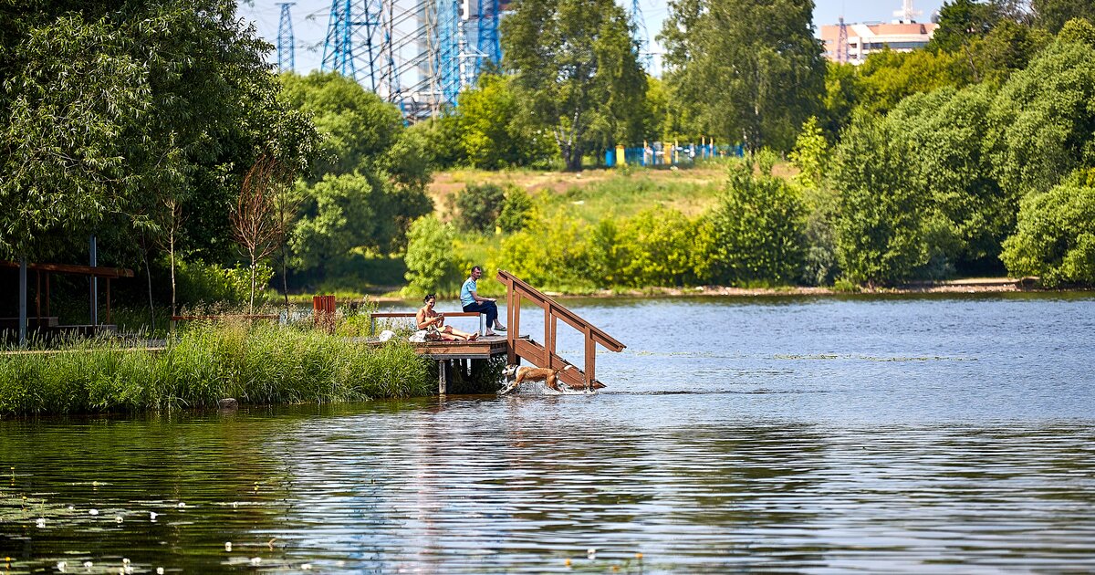 Тропаревский пруд купание. Озеро Тропарево в Москве. Тропарёвский парк пляж. Тропаревский пруд.