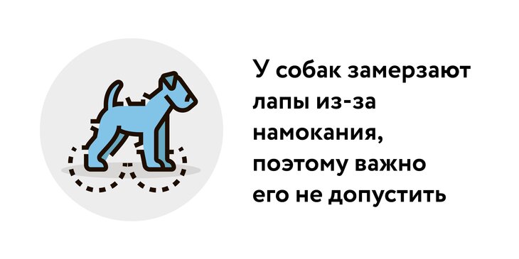 Как подобрать одежду и обувь для собак — измеряем и определяем размеры ✳️ slep-kostroma.ru