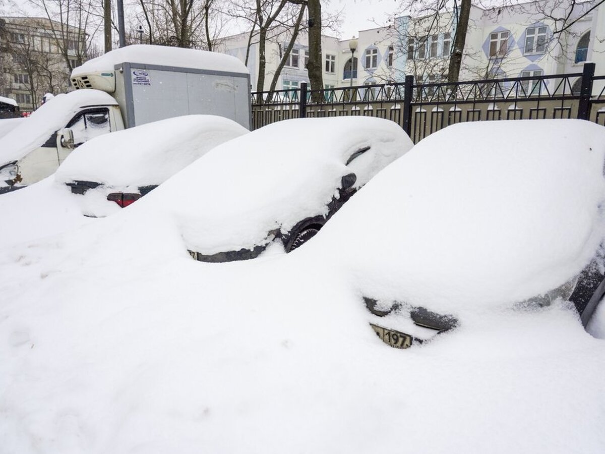 Автоэксперт призвал россиян откопать машины из сугробов – Москва 24,  17.02.2021