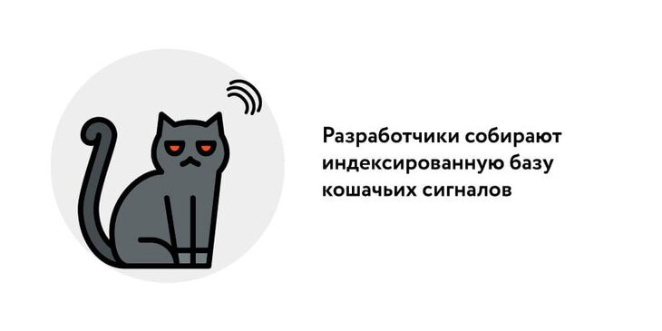 Что значит мяу. Кошечки которые мяукают. Звуковое Разделение кошка. Кот с выученными глазами кот.