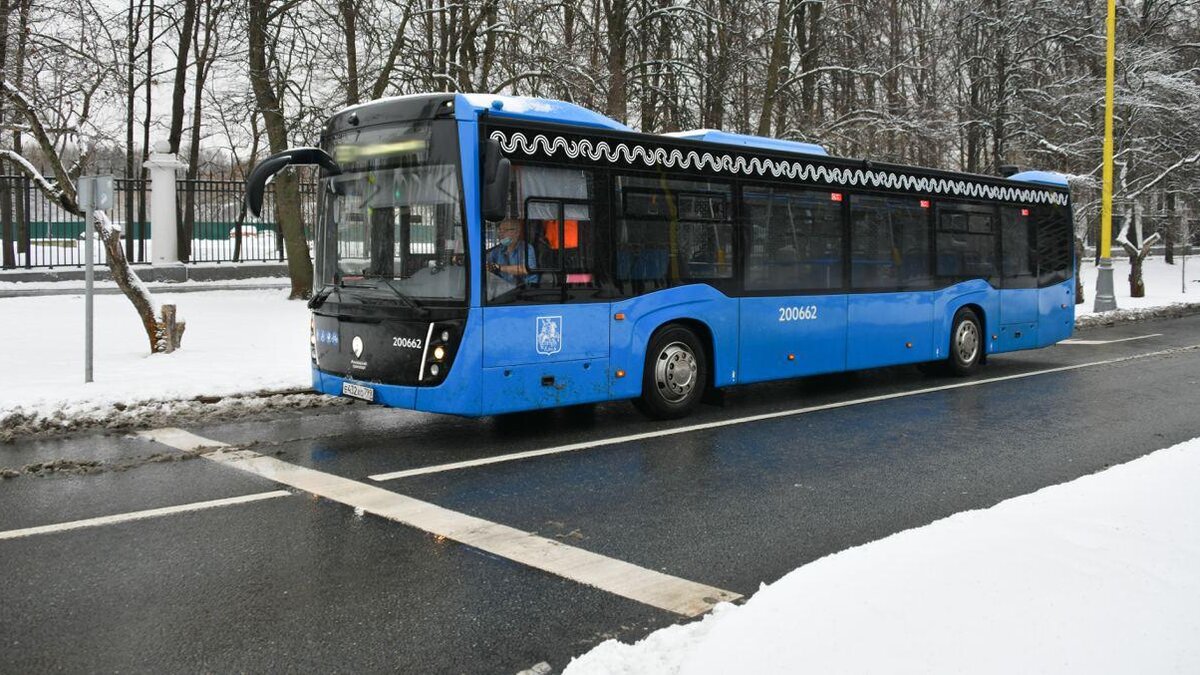 В Москве изменятся маршруты автобусов № 804 и 171 – Москва 24, 19.12.2020