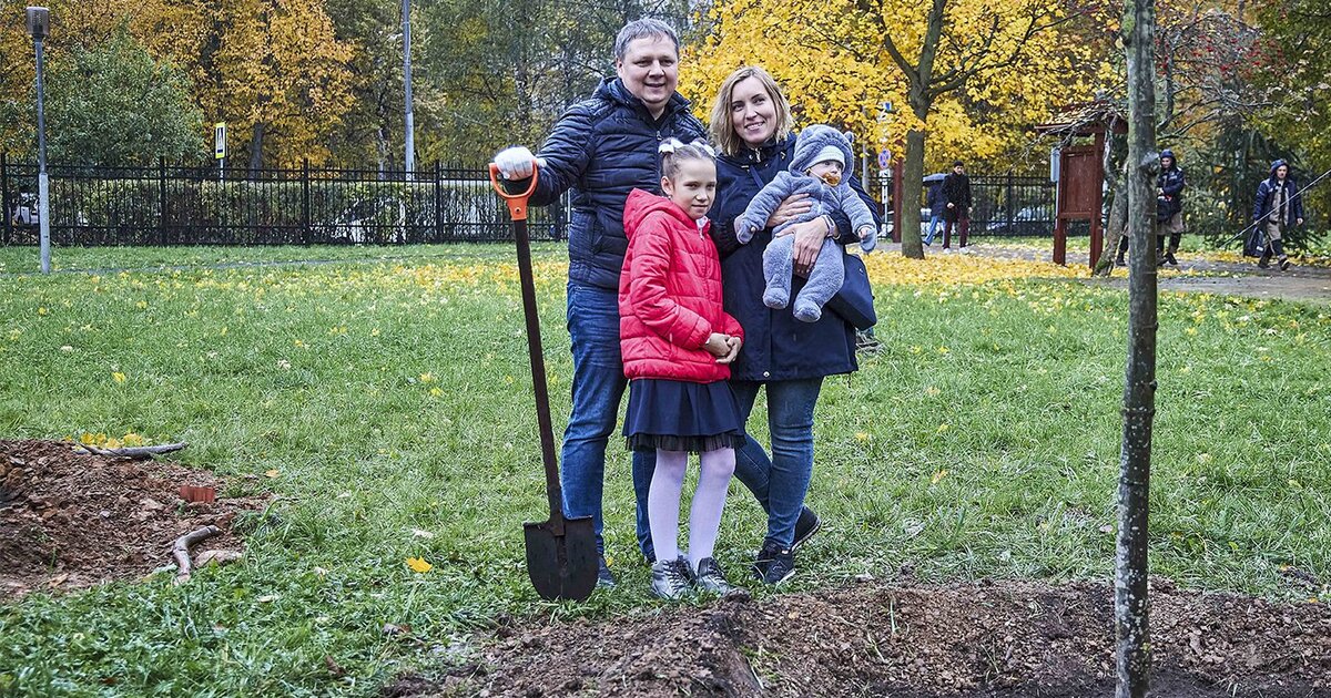 Проект наше дерево москва