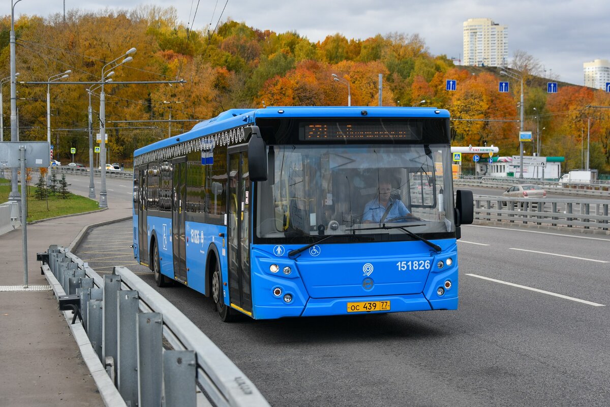 парк победы новые дома автобус (98) фото