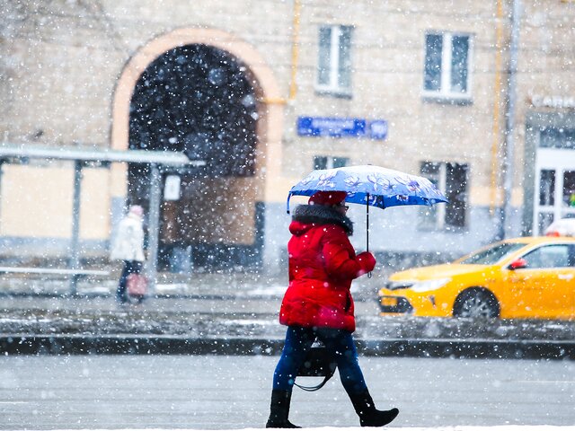 Вильфанд назвал апрельский снегопад в Москве климатической рутиной
