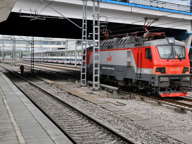 Чартерные поезда для ввоза мигрантов организуют в РФ до конца года