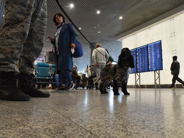 Оперативные службы проверят информацию о бомбе в аэропорту Домодедово – СМИ