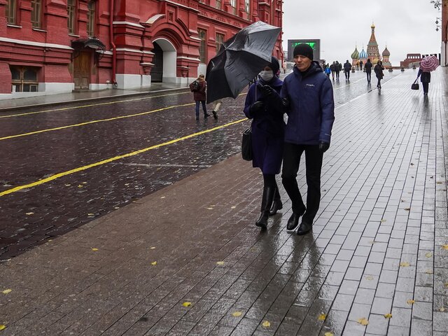 Синоптик рассказала о причинах дождливой осени в Москве