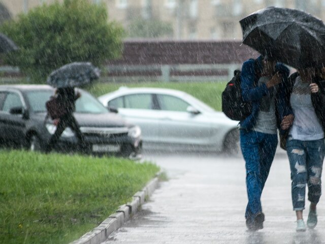 Москвичей предупредили о дожде с порывистым ветром
