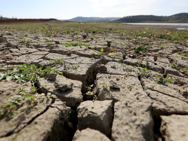 В Чувашии из-за почвенной засухи ввели режим ЧС