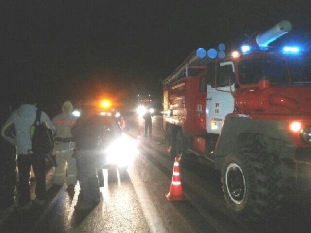 Пять человек погибли в ДТП с грузовиком в Воронежской области