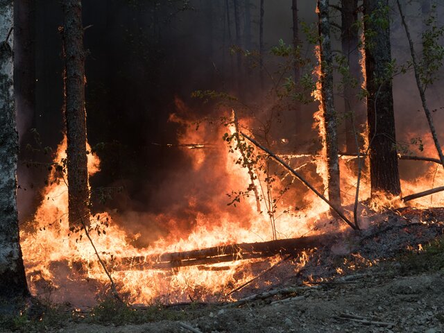 В Карелии отменили режим ЧС, введенный из-за лесных пожаров