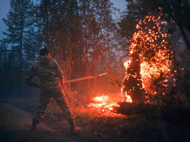 Минприроды предлагает увеличить затраты на борьбу с пожарами до 14 миллиардов рублей