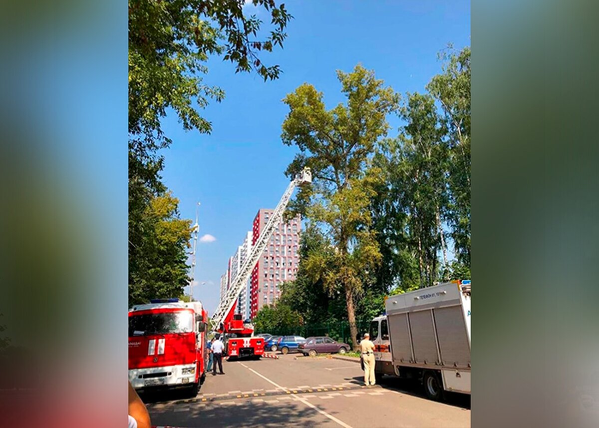 Женщина с арбалетом залезла на дерево в столичном парке – СМИ – Москва 24,  09.08.2021