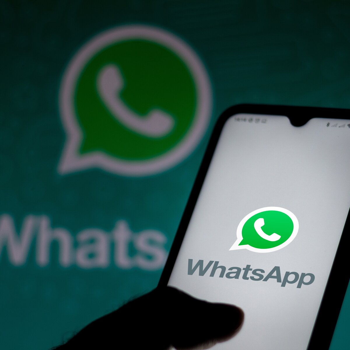 В WhatsApp появится новая функция – Москва 24, 07.06.2021