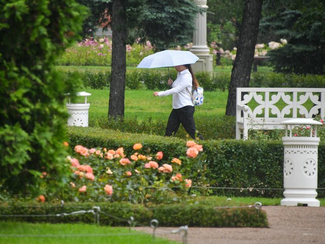 Синоптики рассказали о погоде в Москве в воскресенье